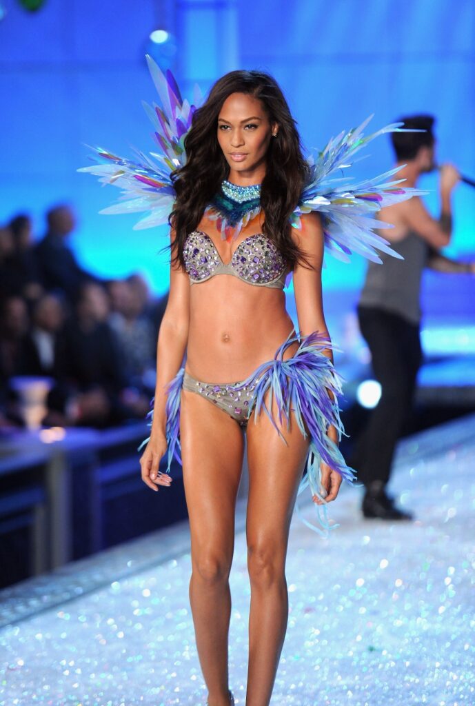 82e430838b4552ae95bf402d69d5db75_lg-689x1024 Victoria’s Secret Fashion Show 2011, Ambrosio, Heatherton, Goulart, Swanepoel, Ribeiro, Donaldson, Shaik, Iman, Lima