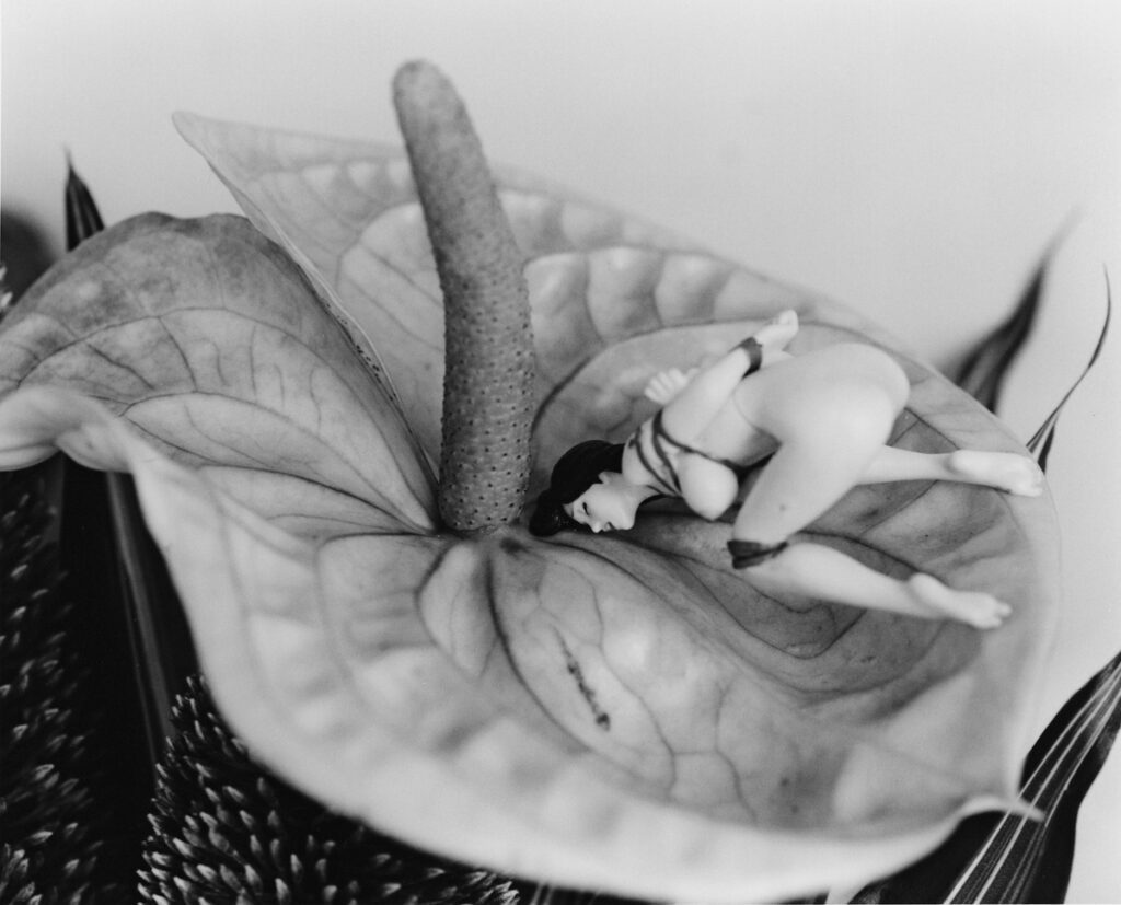 araki-12-1024x827 Las controvertidas fotografías eróticas de bondage con cuerdas de Nobuyoshi Araki (NSFW)