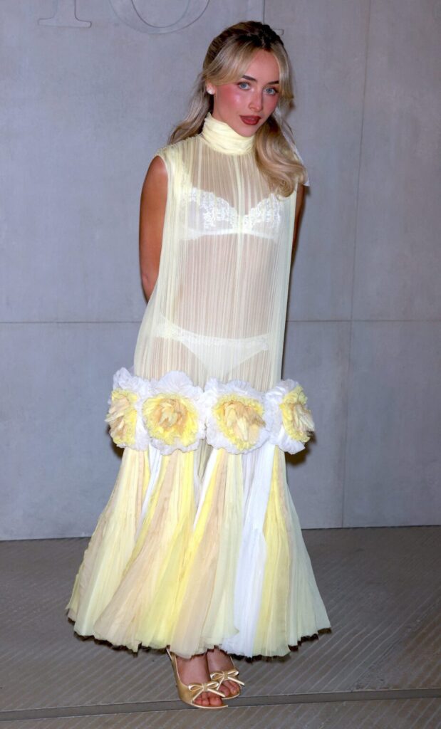 sabrina-carpenter-see-through-yellow-dior-dress-lace-bra-panties-015-928x1536-1-619x1024 Visita Passionatte Lucenpop: iconografía erótica, cultura y entretenimiento