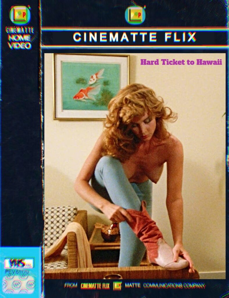 CARATULA-VHS-CINEMAsadasdsdfsdTTE-FLIX-1sseed-5ww9R2-788x1024 2025: ¿Dónde encontrar buen contenido de cine? El gran éxodo de la crítica hacia lo independiente