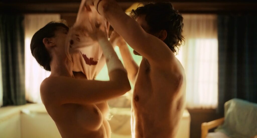 d3Q6OowJ_o-1024x553 Alison Brie topless en Together (2025)