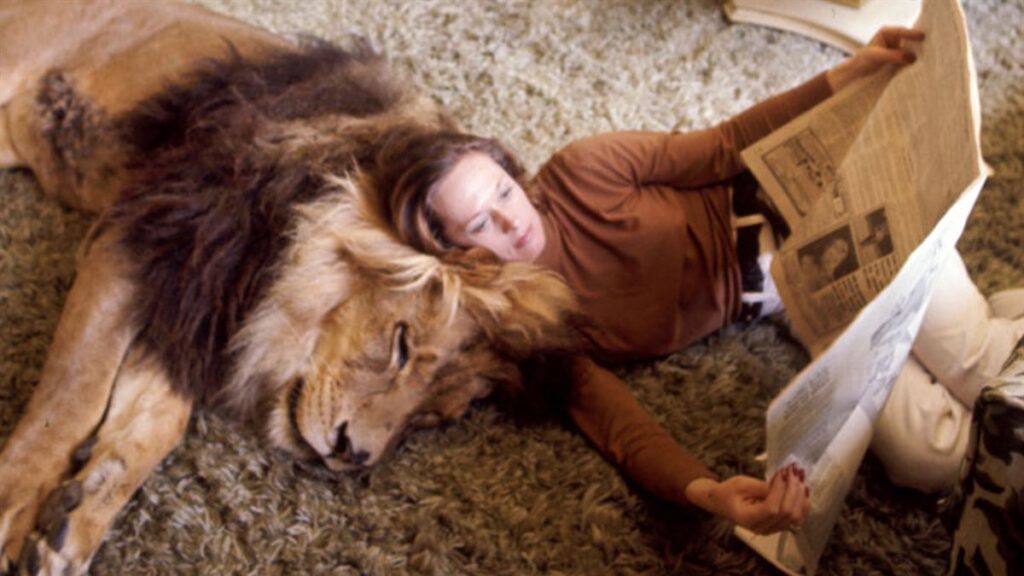 20210119143024_tippi-hedren-el-gran-rugido_amp_w1200-1024x576 El gran rugido: la belleza del peligro y la verdad salvaje del cine perdido