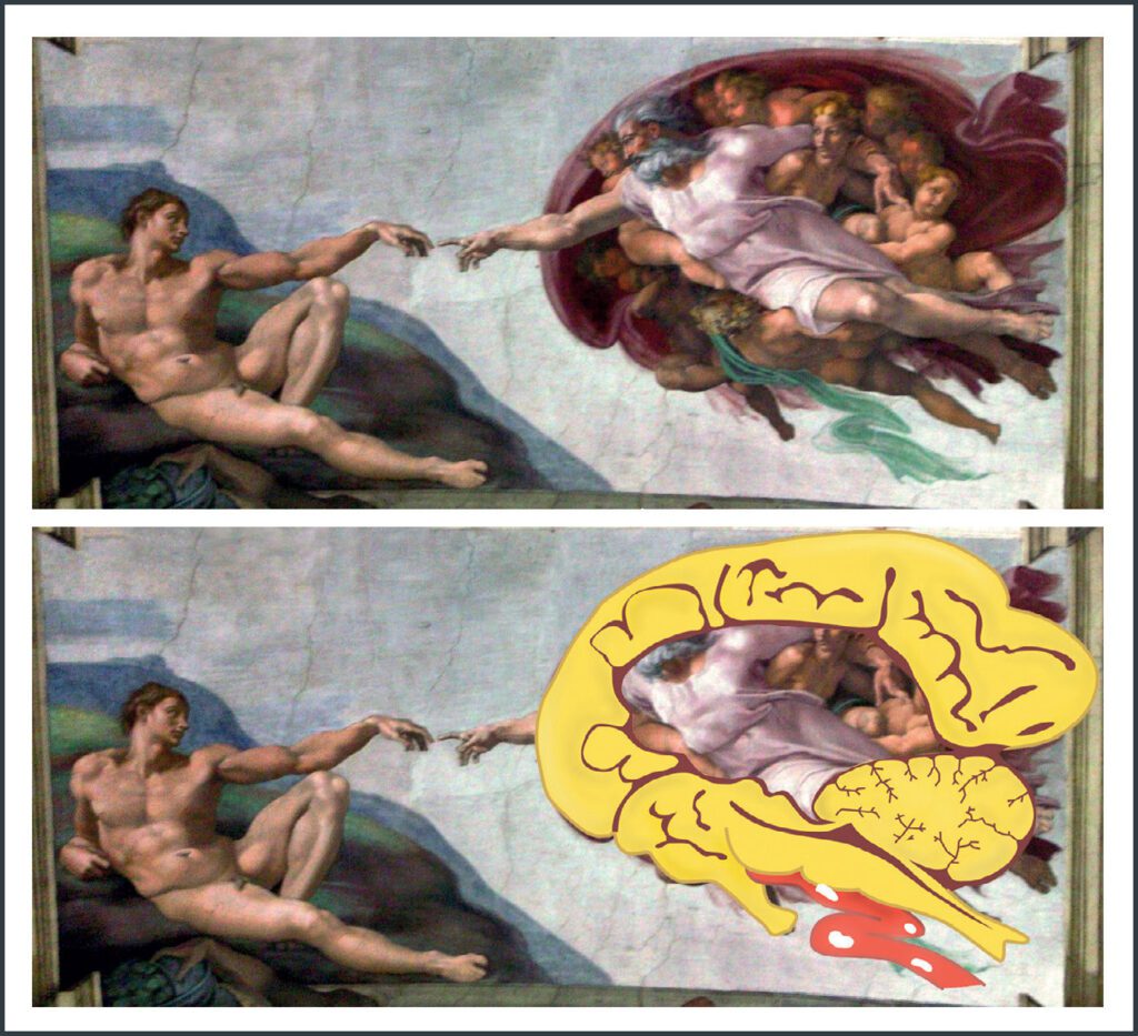 fx1-1024x933 Descubren que el cerebro humano podría estar programado por una mano superior