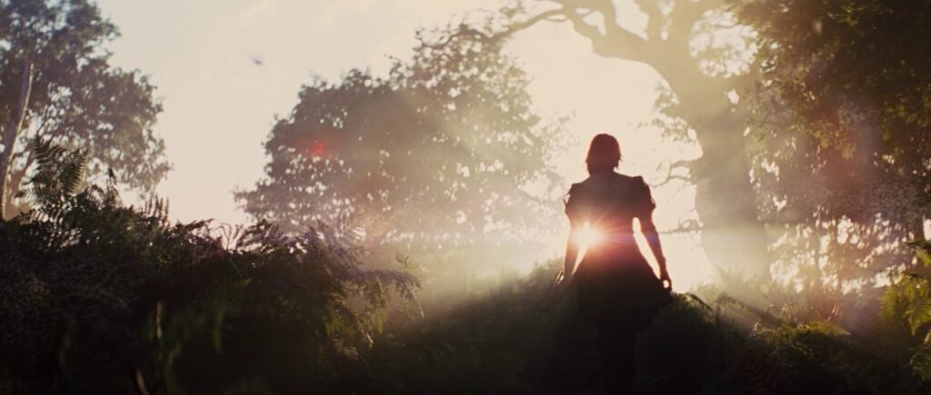 47-917-1024x435 Escribir con penumbra: el estilo visual de Greig Fraser más allá de la noche de Gotham