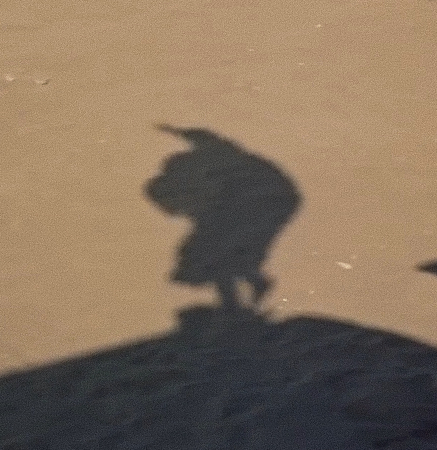 Captura-de-pantalla_21-12-2025_73724_www.youtube.com-fotor-2025122183325 La sombra antes del héroe: composición, mito y espera en Lawrence de Arabia