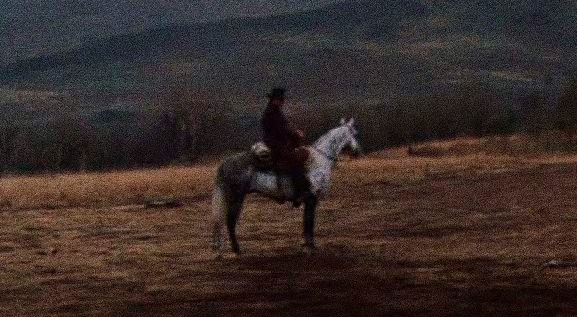 b66ed5c6-b293-459a-8ead-43447c1f6051-fotor-2025122010059 Análisis de fotograma | El espectro en el horizonte: composición, mito y juicio en El jinete pálido