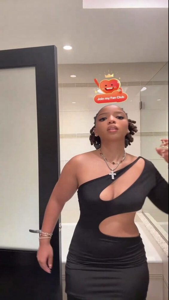 chloe-bailey-nipslip-boob-slip-viral-wardrobe-oops-565x1000-1 El impetuoso y subversivo pecho de Chloe Bailey