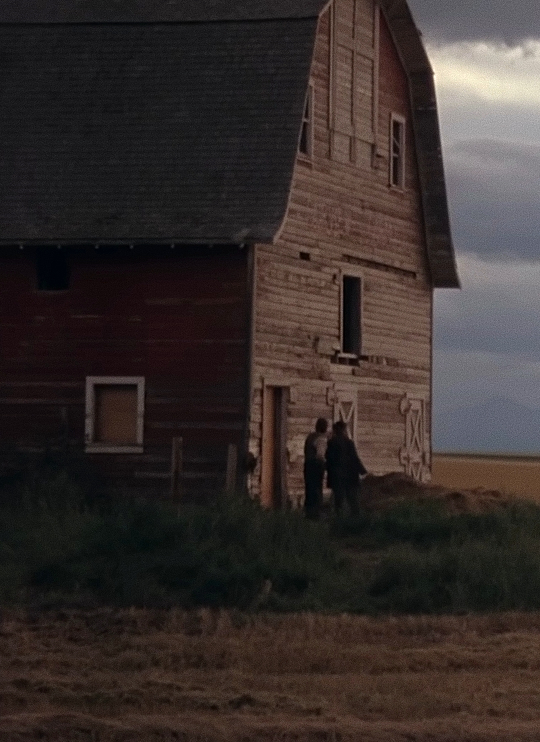 Captura-de-pantalla_26-1-2026_21320_www.youtube.com-fotor-20260126213710 Análisis de fotograma: Días del cielo (Terrence Malick, 1978)