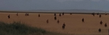 Captura-de-pantalla_26-1-2026_21320_www.youtube.com-fotor-20260126213940 Análisis de fotograma: Días del cielo (Terrence Malick, 1978)