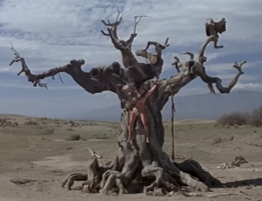 Captura-de-pantalla_6-1-2026_92045_www.youtube.com-fotor-2026010694913 Análisis de fotograma de Conan el bárbaro (1982)