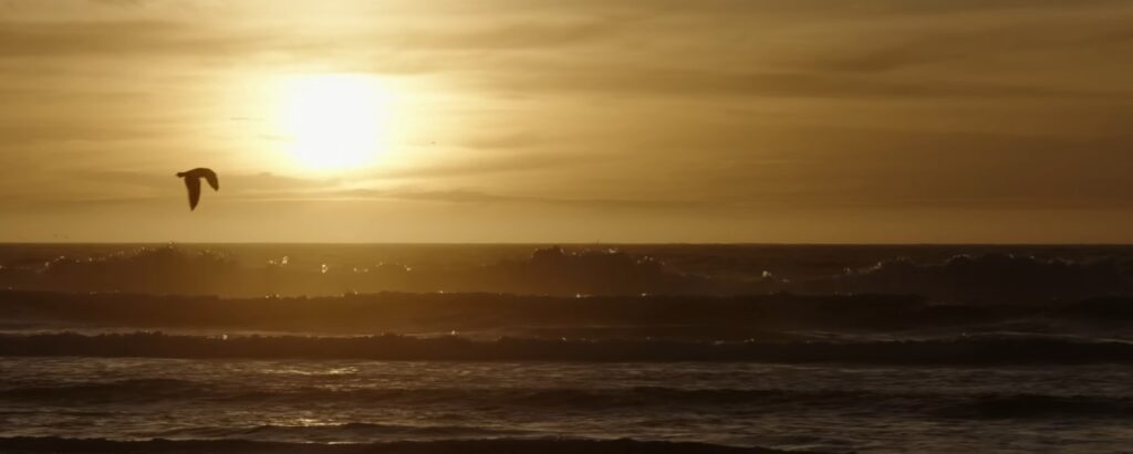 Captura-de-pantalla_8-2-2026_91515_www.youtube.com_-1024x411 Velocidad esculpida en luz: la sinfonía visual de Kosinski en F1