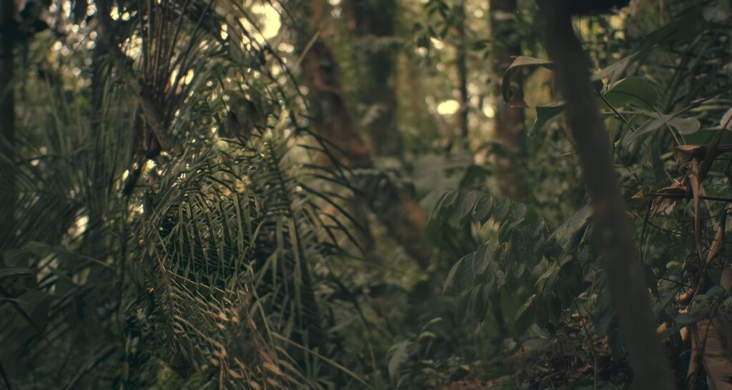 Captura-de-pantalla_3-3-2026_202547_www.youtube.com_-1024x546 La jungla como delirio balístico: cuando John McTiernan convirtió el músculo en vacío